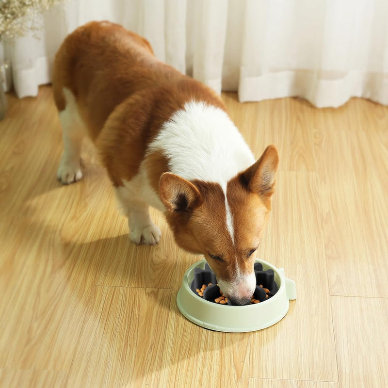 Slow Feeder Dog Bowls Insert, Animire Soft Silicone Anti-Choking Puzzle Slow Feeder, Anti-Slip Slow Down Eating Feeder Insert, Compatible with Regular Elevated Dog Bowls L Black - PawsPlanet Australia