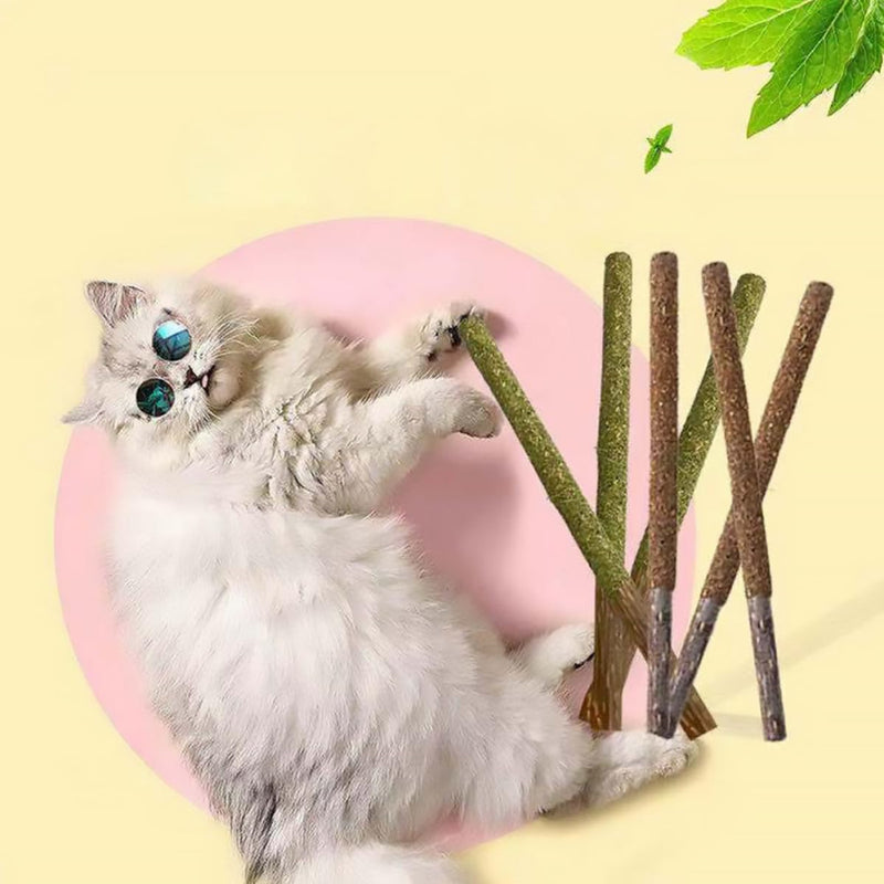 CLISPEED Cat Licking Sticks for Dental Cleaning and Care made from Catnip and Gall Fruit, 12 Pieces, for Indoor Use at Home