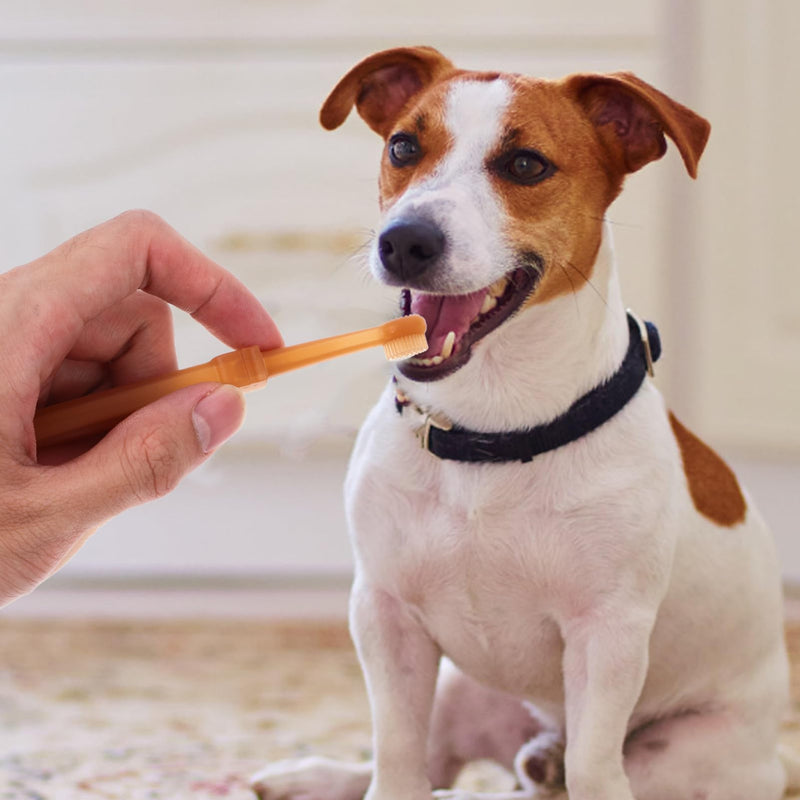 1Set Silicone Toothbrush for Cats and Dogs Double-Headed Pet Toothbrush Kit Soft Material for Gentle Cleaning for Small Dogs and Puppies Promotes Oral Health
