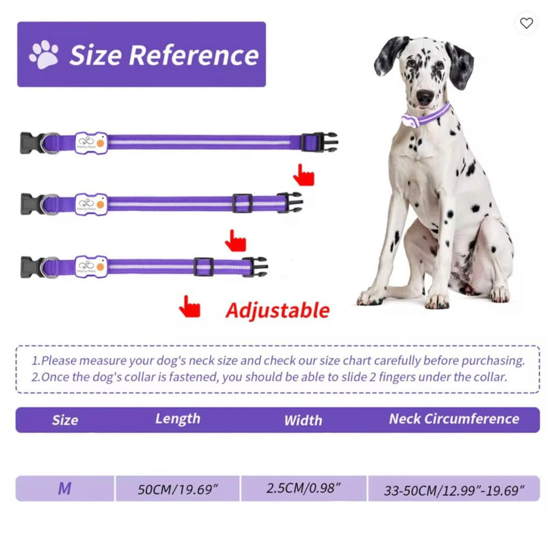 Matching LED Dog Collar & Lead Set – Rechargeable USB-C Light-Up Leash & Glow-in-the-Dark Collar for Night Walks – Durable, Waterproof, Adjustable, Stylish (Purple)