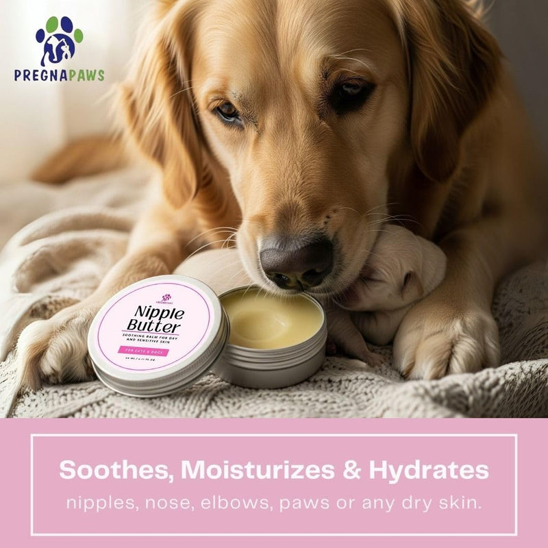 Nipple Soothing Balm for Nursing Dogs & Cats – Lick-Safe, Lanolin-Free, All-Natural Nipple Butter – Soothes Chapped & Cracked Skin – Coconut Oil, Shea Butter, Vitamin E, 2.11 oz - PawsPlanet Australia