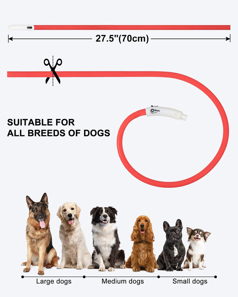 Joytale Light Up Dog Collar, Rechargeable Rainproof LED Collar for Night Walking Safety, Soft Silicone Glow in The Dark, Suitable for Small Medium Large Dogs, Red 8-27.5 Inch (Pack of 1) - PawsPlanet Australia