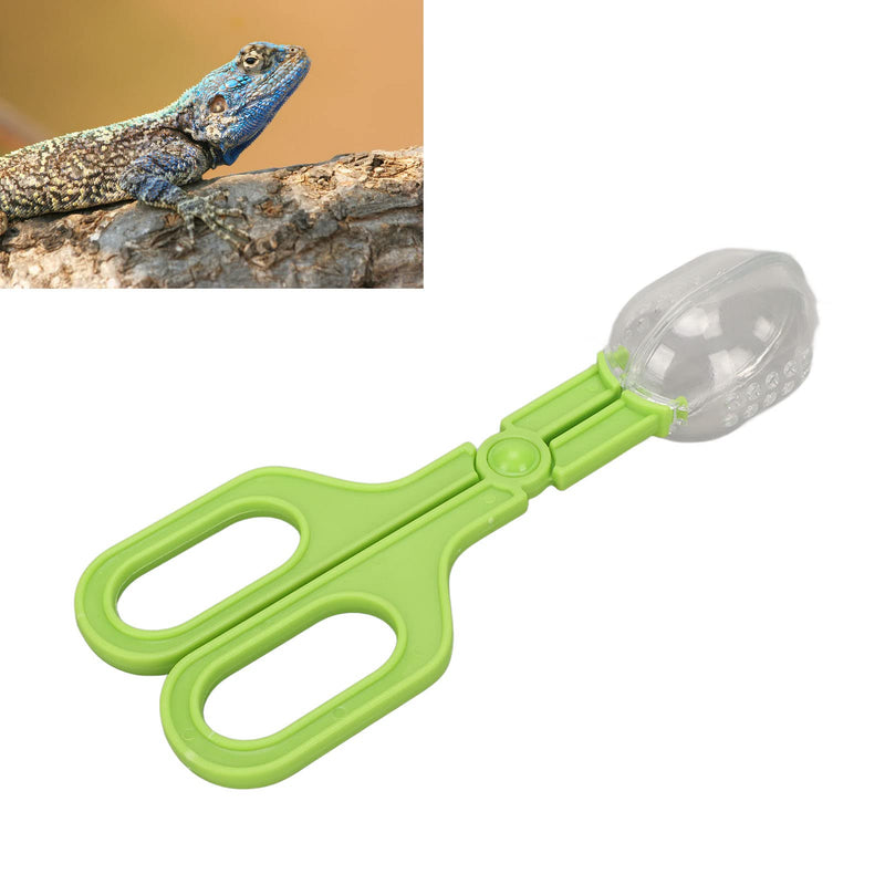 Reptile Feeding Clamp Poop Tongs Reptile Feeding Tool Reptile Poop Scoop with Vents for Tortoise Lizard Spider (Green) hamster poop scoop - PawsPlanet Australia