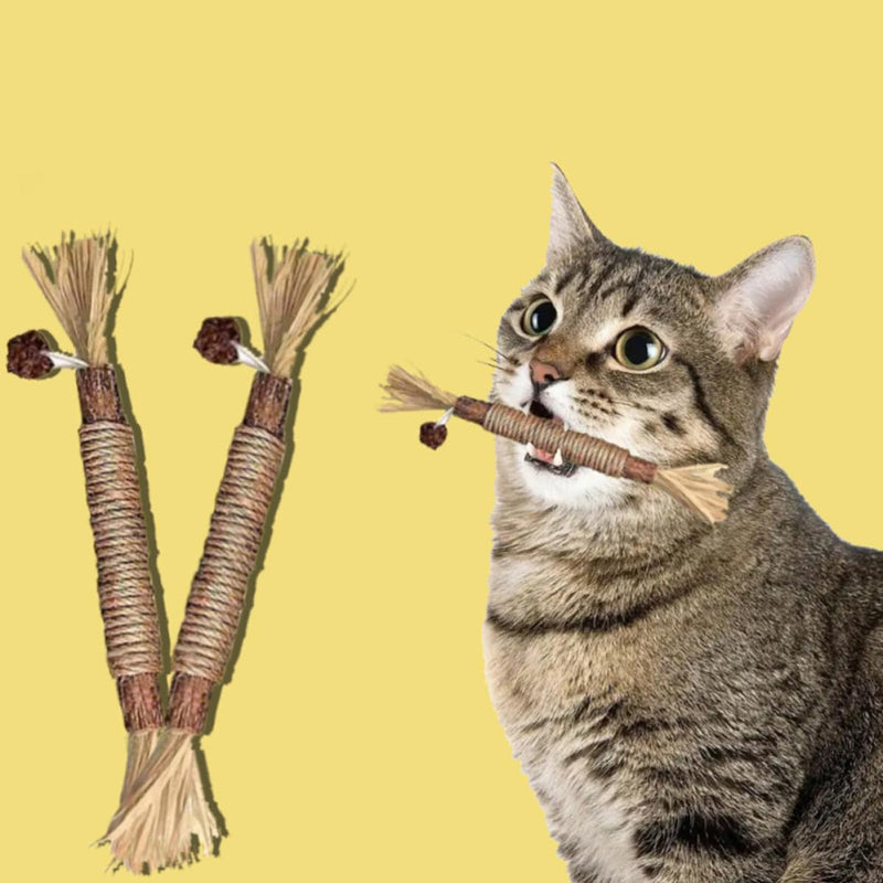 Wooden dental cleaning and chew sticks, 4-piece cat toy set with natural catnip for kittens and stress relief in the household