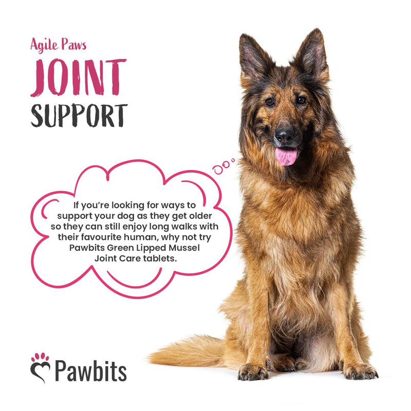 Pawbits 300 Adult Senior Dog Hip & Joint Supplements for Older Mature Dogs. High Strength Green Lipped Mussel Supplement for Elderly Dogs with Stiff Joints - Glucosamine, Vitamin C & E - PawsPlanet Australia