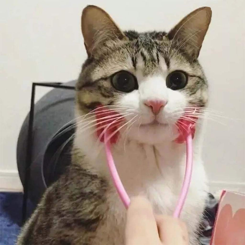 Facial massager for cats, pet facial massager, roller, cat grooming tool with 4 wheels, non-slip, comfortable, mold cleaner for tile molds, paint for wall molds spray