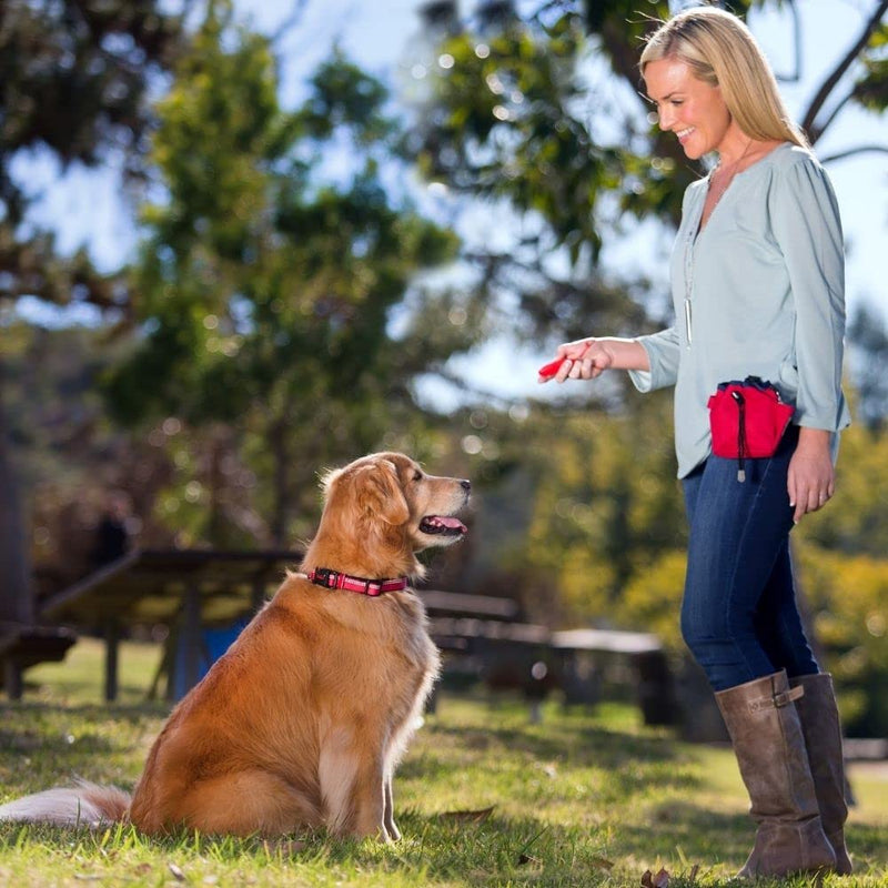 Company of Animals Whizzclick, Clicker and Whistle Combined, Recall and Reward Training, Wrist Strap, for All Dogs Including Sensitive Dogs and Puppies (Pack of 2) One Size (Pack of 2) - PawsPlanet Australia