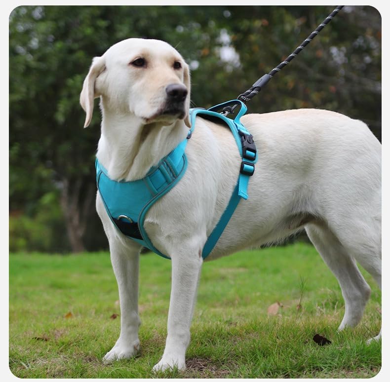 Waterproof and Breathable Dog Harness, Explosion-Proof Flush pet Harness, Adjustable Soft Padded pet Vest, Carrying Instant Control Handle, Reflective pet Vest for Easy Walking (Blue, Medium) Blue - PawsPlanet Australia
