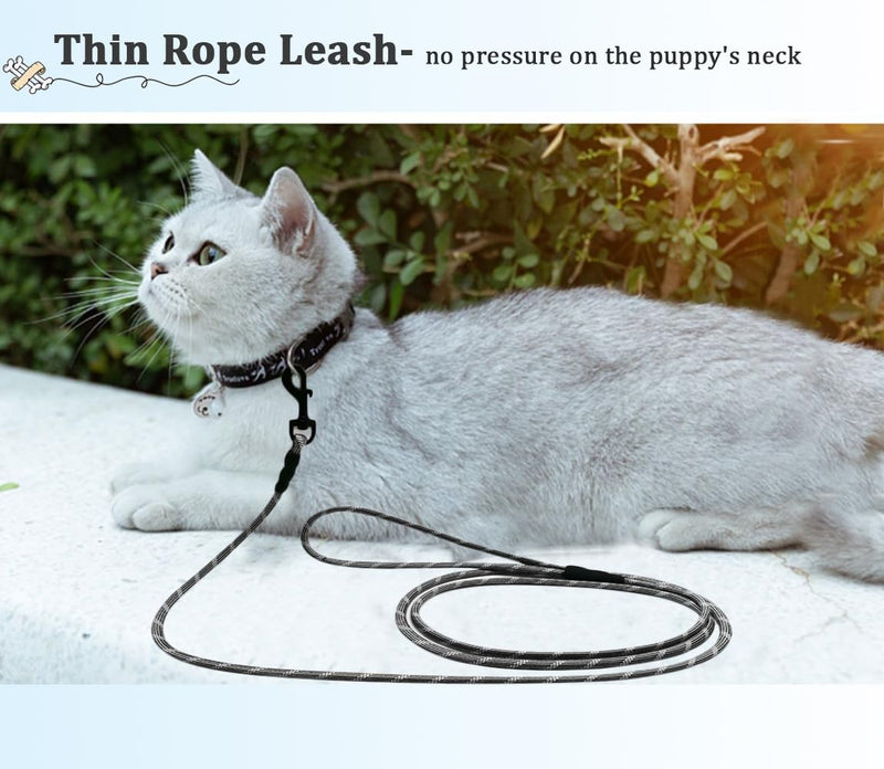 WYuZe 1/5" Small Dog Leash Rope, 6/10/15 FT Lightweight Sturdy Thin Cat Leash for Puppy Weight Under 15lb Outdoor Walking Training (1/5" x 15 FT, Black) 1/5" x 15 FT - PawsPlanet Australia