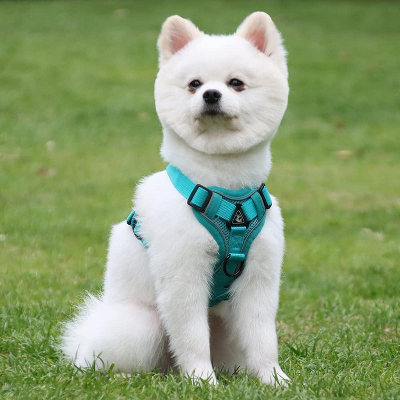 Puppy Harness,Cat Harness and Lead Set,No Pull Dog Cat Harness,Soft Mesh Breathable Reflective Puppy Cat Dog Vest Harnesses for Small Dogs Cats (Lake Blue, Small) Lake Blue - PawsPlanet Australia