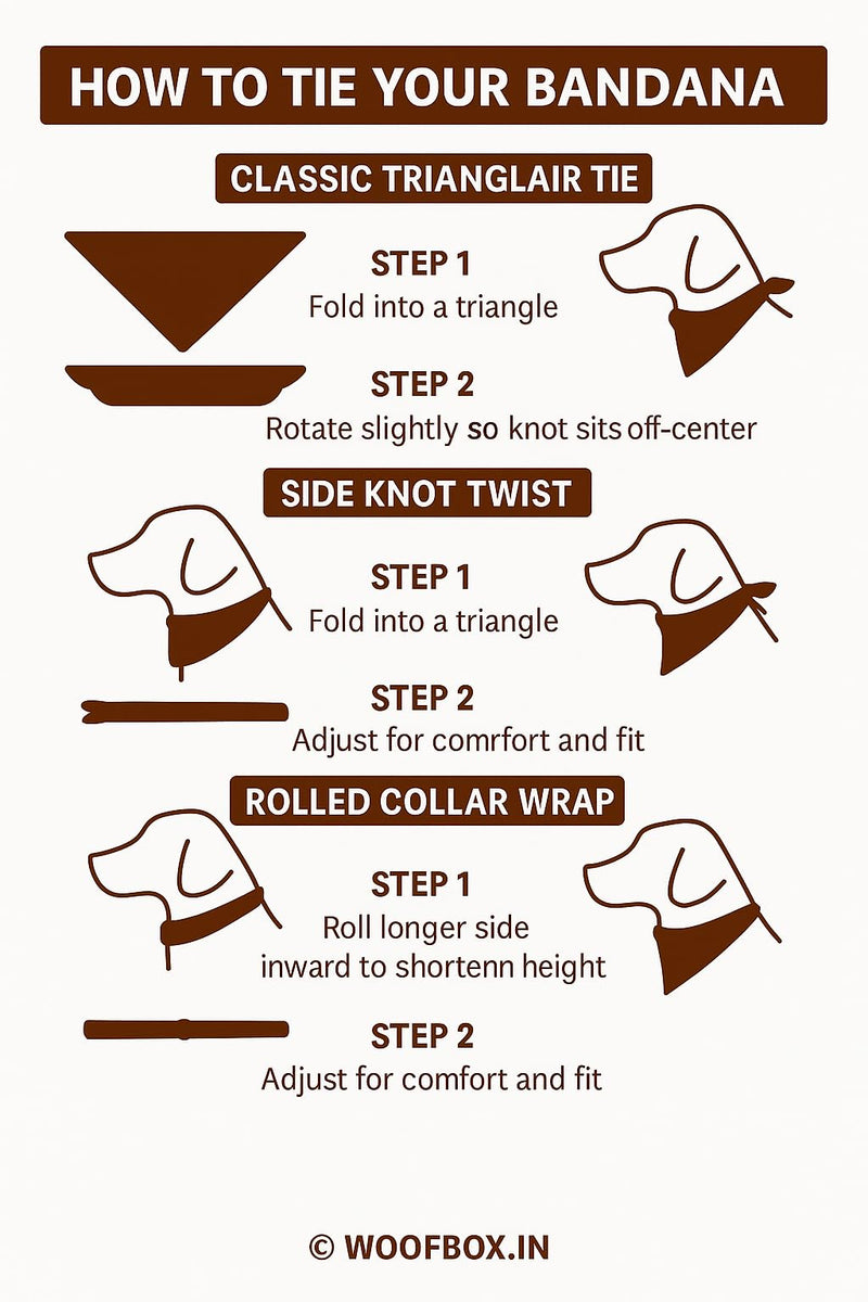 W Brings XL Bandana for Dogs | These Stunning Gorgeous Design Dog Bandana Scarf are Perfect Styling Accessory for Dogs Large, Medium & Small. (X-Large, XOXO) X-Large - PawsPlanet Australia