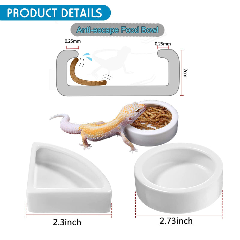 Woyrise 5Pcs Reptile Feeding Set, Long and Wide Handle Rubber Tipped Tweezers Bug Scooper Cricket Tongs Terrarium Worm Feeding Water Dish for Bearded dragon, Lizard Gecko Spider and Snakes - PawsPlanet Australia