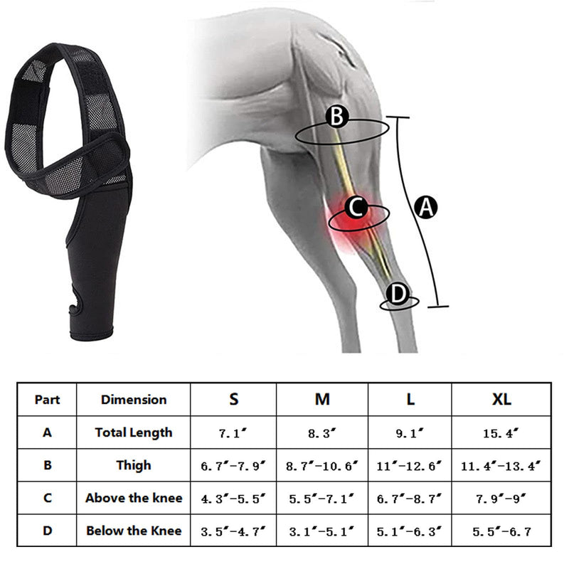 Dog Acl Brace Hind Leg,Dog Knee Brace for Torn Acl Hind Leg (Universal Front and Rear Legs),Adjustable Dog Knee Brace for Acl Tears, Hip Dysplasia, Osteoarthritis and Ligament Injuries (L) L - PawsPlanet Australia