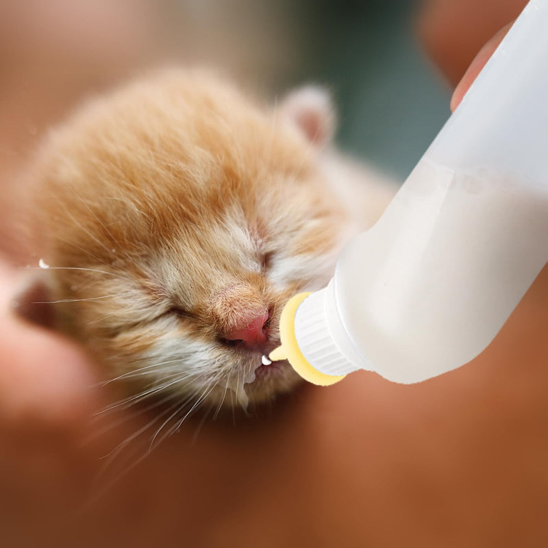 5Pack Kitten Bottle for Nursing Puppy Milk Kitten Bottles Feeding Kit Silicone Nipple for Newborn Pets Kittens, Puppy,Squirrel (Yellow) - PawsPlanet Australia