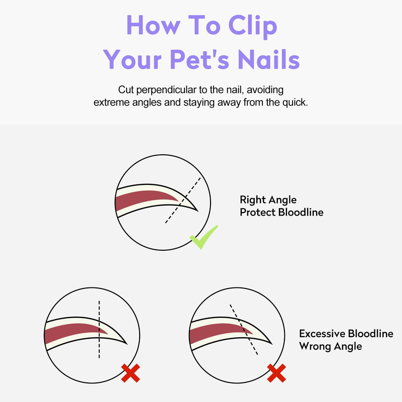 Cat Nail Clippers with Nail File, Kitten Claw Nail Clippers for Trimming, Stainless Steel Pet Bearded Nail Clippers Tool for Dragon, Guinea Pig, Rabbits, Birds, Ferret Small Breed Animals(Pink) Pink 2 - PawsPlanet Australia
