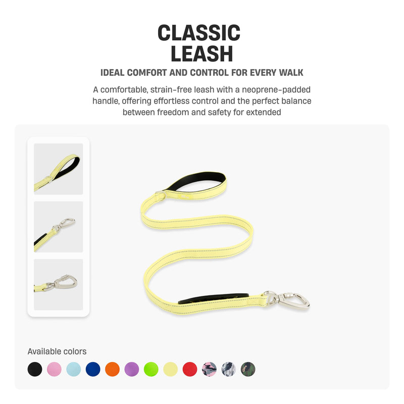 DF Co. Classic Dog Leash | Strain-Free, Shock Resistant, Prevents Jolts, Maintain Control | Durable Waterproof Material with Heavy Duty Clip & D-Ring | Black, Size Regular - PawsPlanet Australia