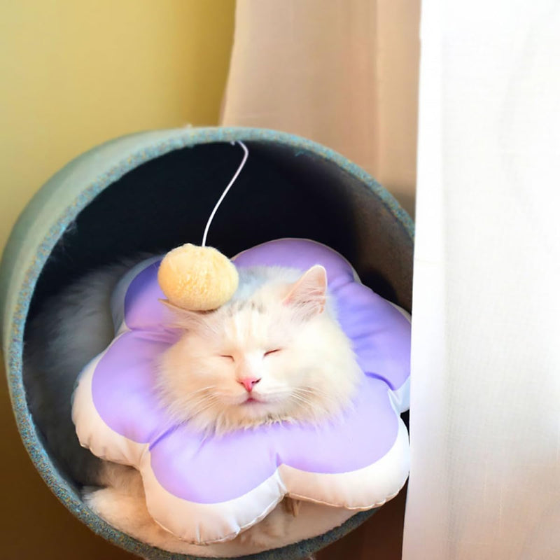VALICLUD Cat Neck Collar made of PP Cotton, Violet, Soft and Durable. Prevents licking and biting. For recovery after surgery. 1 piece. Pet Accessory.