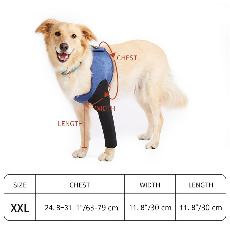 COODEO Dog Recovery Suit, Cone Collar Alternative, Abrasion Resistant Dog Recovery Sleeve, Washable 2.5mm Thick and Waterproof, Pet Wounds Prevent Licking, Bite, Keep Dry (Blue, 2XL) Blue