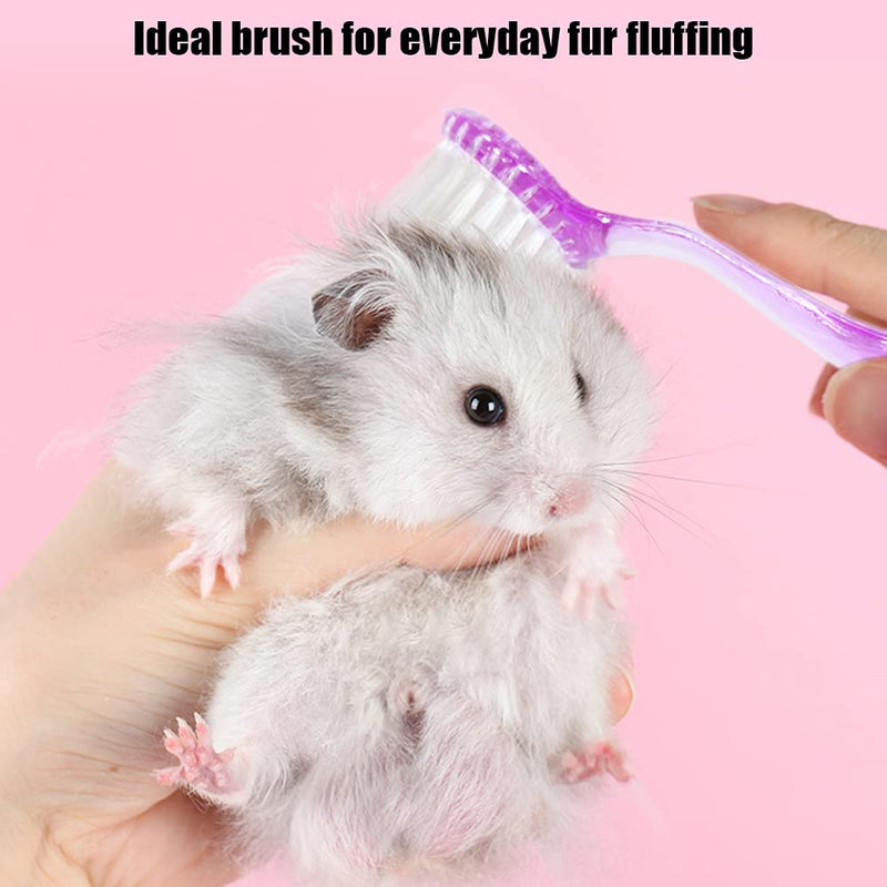 2 Pack Hamster Brush, Guinea Pig Massage Combs, Hedgehog Cleaning Supplies - Purple - PawsPlanet Australia