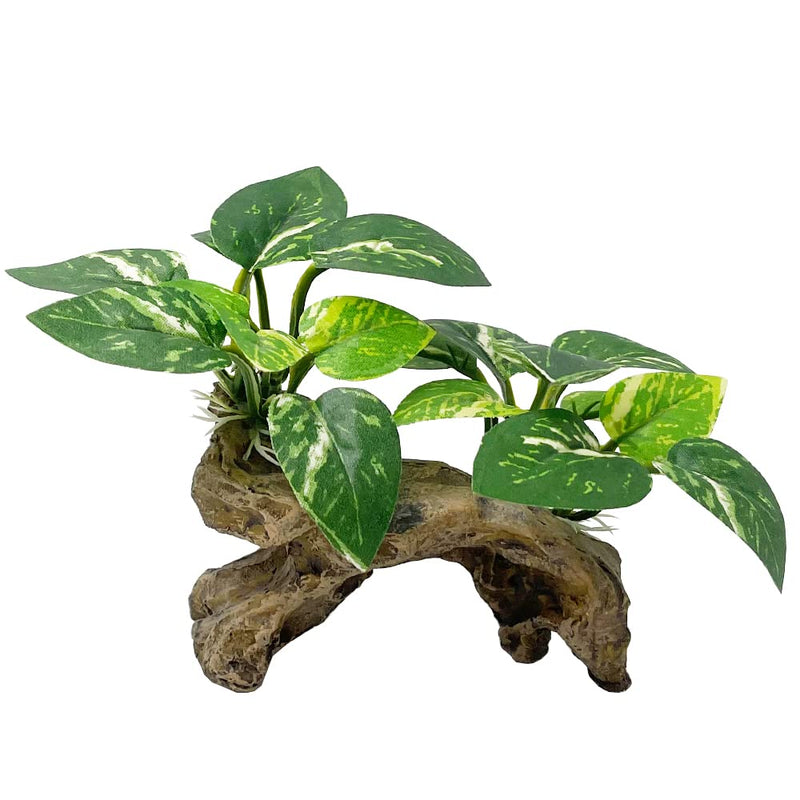 Smoothedo-Pets Fish Tank Decorations Aquarium Decor Ornaments Betta Silk Leaf pad Hammock Artifical Driftwood cave Goldfish Bowl Accessories (Type-C) Type-c