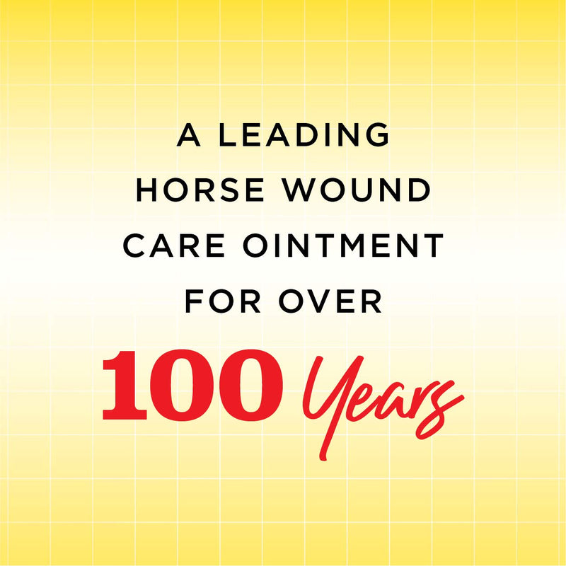 Manna Pro Corona Ointment for Horses | Lanolin-Based Formula Helps Sooth Irritation | 14 Ounces 14 Ounce