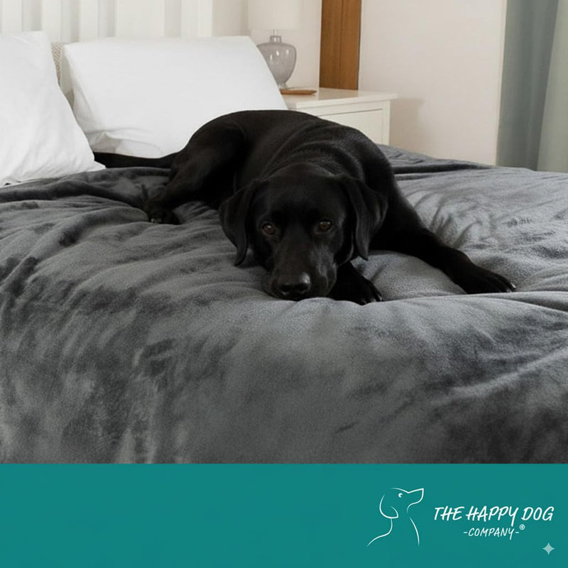 Waterproof Dog Blanket Washable – Dog Waterproof Blanket for Couch, Reversible Sherpa & Microfiber, Thick 460 GSM Dog Blanket Waterproof, 40x47 Dark Gray Flannel/Gray Sherpa Large (40" x 47") - PawsPlanet Australia