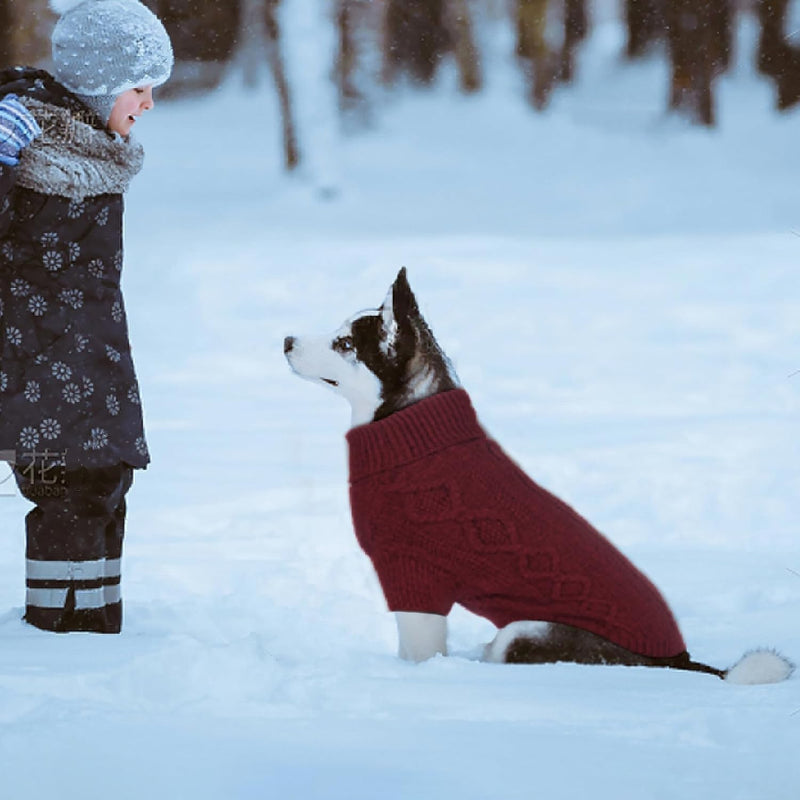 Dog Sweater XL, Large Breed Dog Sweater Girl Boy, Christmas Dog Outfits, Dog Thanksgiving Sweater, Cable Knit Dog Sweater with Leash Hole, Holiday Dog Sweaters for Large Dogs Beagle, Corgi, Red XL X-Large - PawsPlanet Australia
