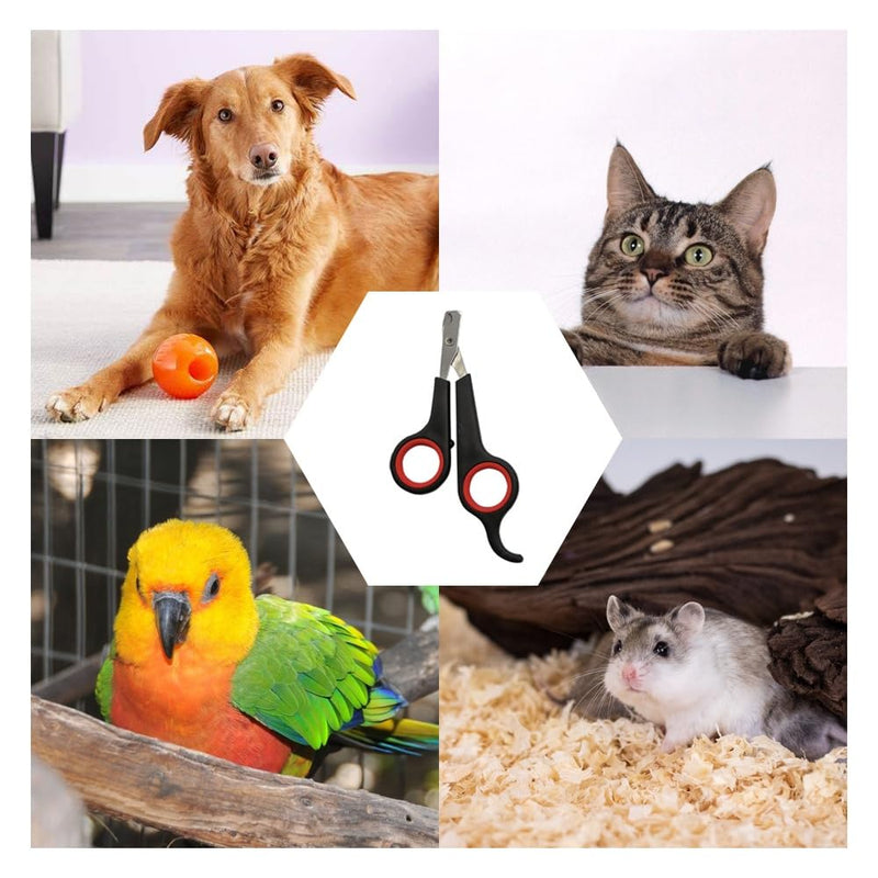 Pet Nail Clipper, Professional Claw Trimmer for Cat, Small Dog, Rabbit, Small Animal, Stainless Steel - PawsPlanet Australia