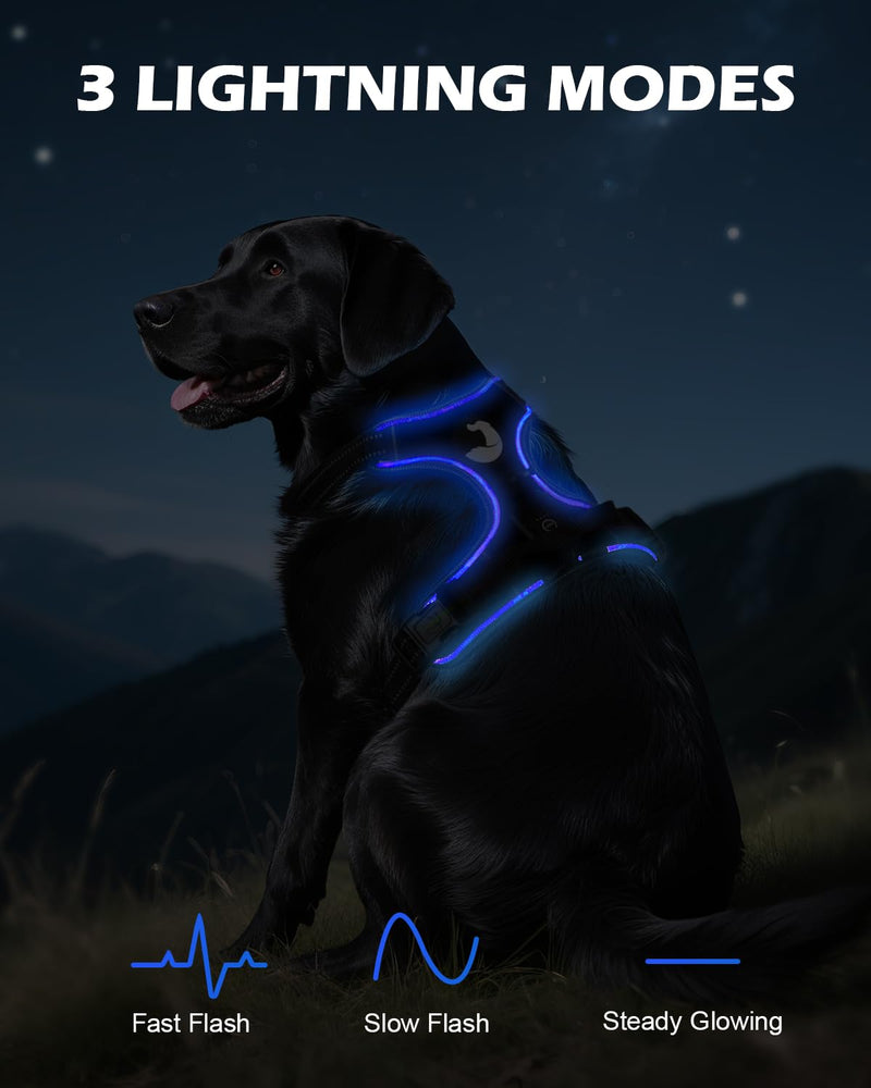 Joytale Light Up Dog Harness, No Pull Dog Harness USB Rechargeable for Night Walking with 3 Lightning Modes and Soft Handle, Adjustable Reflective Lighted Safety Vest,Black-Blue,M Medium Black-Blue - PawsPlanet Australia