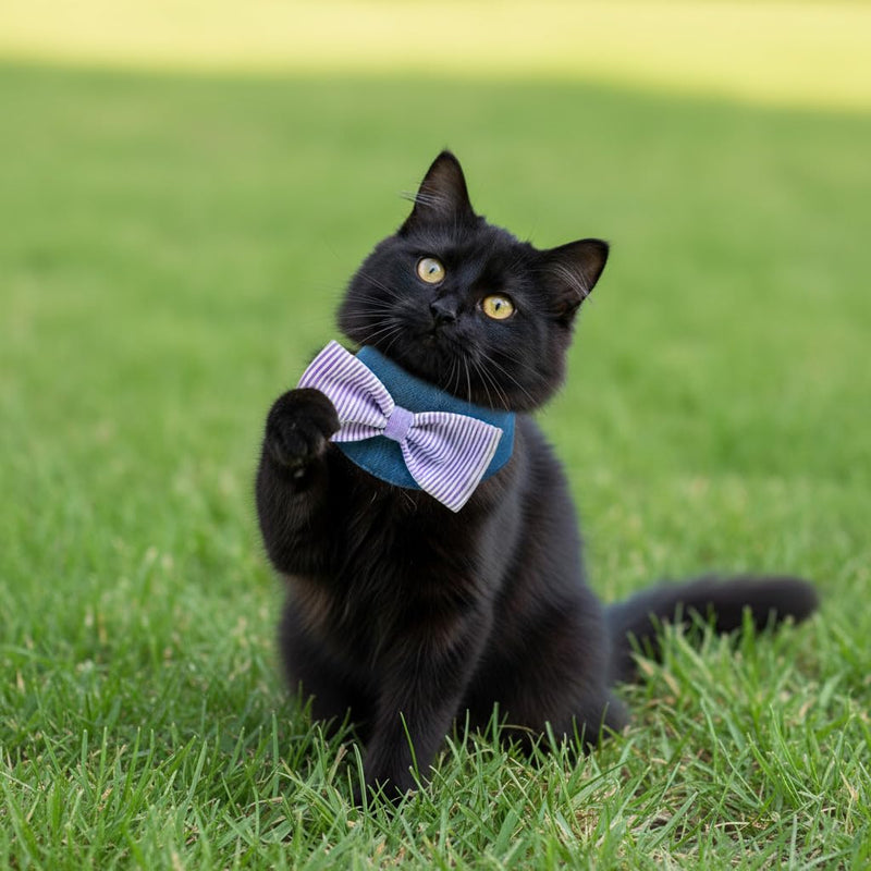 Denim Dog Bandana – Striped Bowtie, Soft & Durable Pet Scarf with Adjustable Metal Snap Buttons for Dogs & Cats (Purple, Small) Purple - PawsPlanet Australia