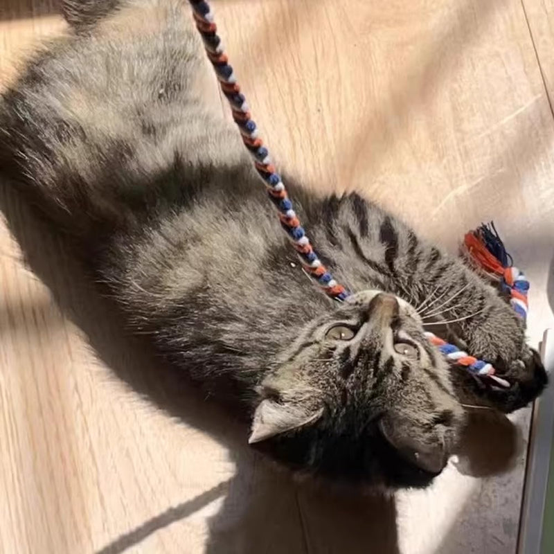 Cat Wands, 4 PCS Colorful Rope Cat Toys Interactive Cat Teaser Wands with Bell for All Breed Sizes - PawsPlanet Australia