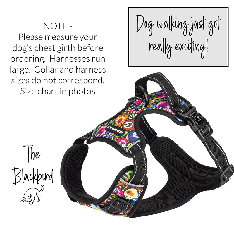Lucky Love Dog No Pull Dog Harness, Adjustable and Easy to Walk, Cute Patterned Harness for Small Medium Large Male & Female Dogs - Blackbird, Small - PawsPlanet Australia
