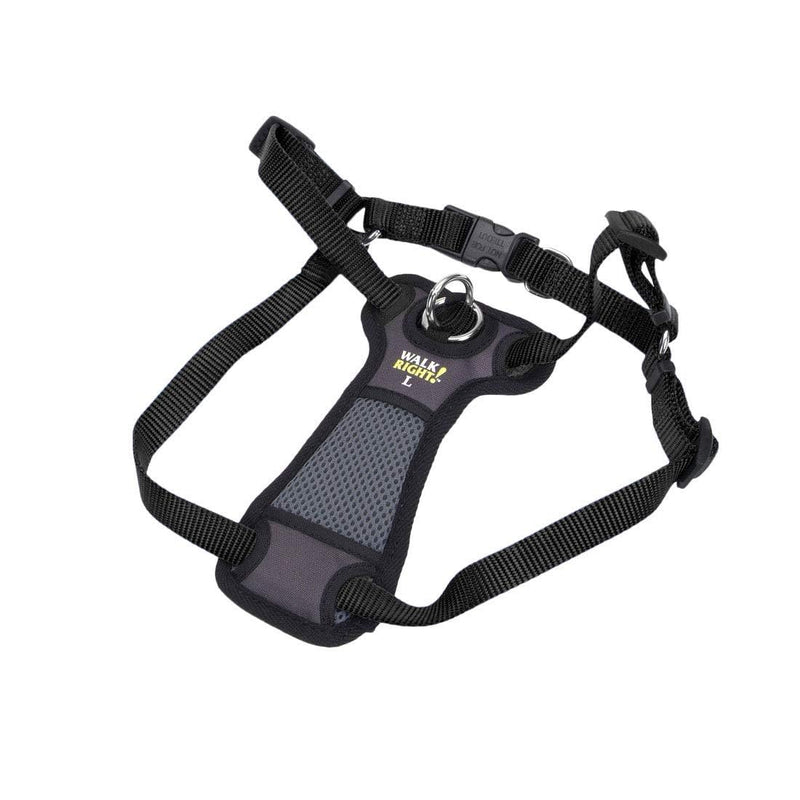 Coastal Pet Walk Right Front-Connect No-Pull Padded Dog Harness - Adjustable & Comfortable Dog Harness - Small & Large Breed Fit - Quality Pet Supplies - Black, LRG (26"-38") Large - 24"-38" girth - PawsPlanet Australia