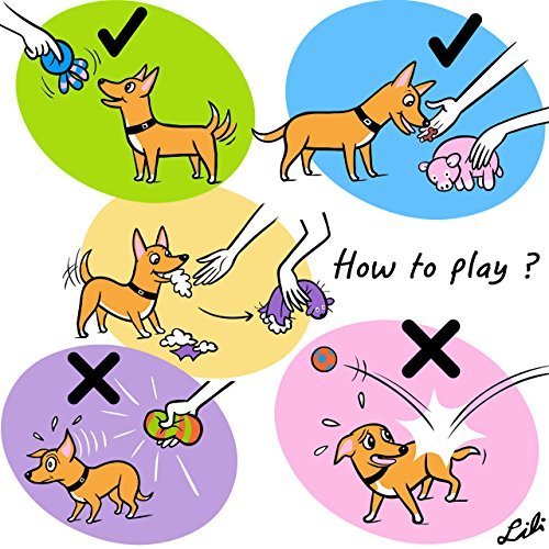 Chiwava Squeaky Latex Rubber Dog Toys for Small Medium Large Dogs Interactive Fetch Play Small Stick Toys