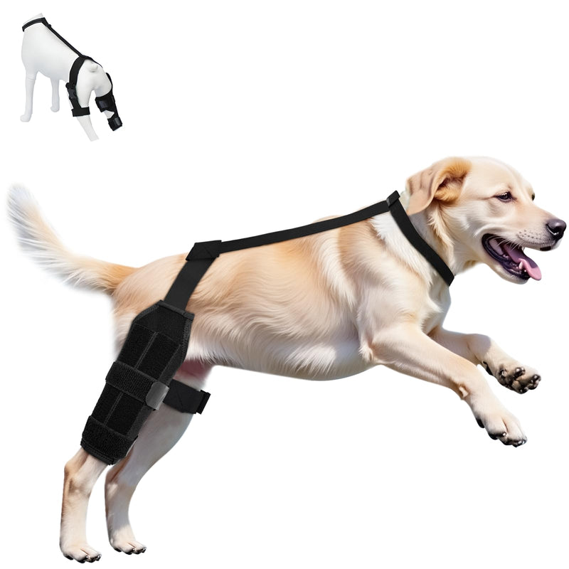 Adjustable Dog ACL Knee Brace - Hind Leg Support, Ligament Recovery, Cruciate Care - Large/Medium Sizes - Extra Stabilizers, Comfortable Wrap with Straps(Black M Size)