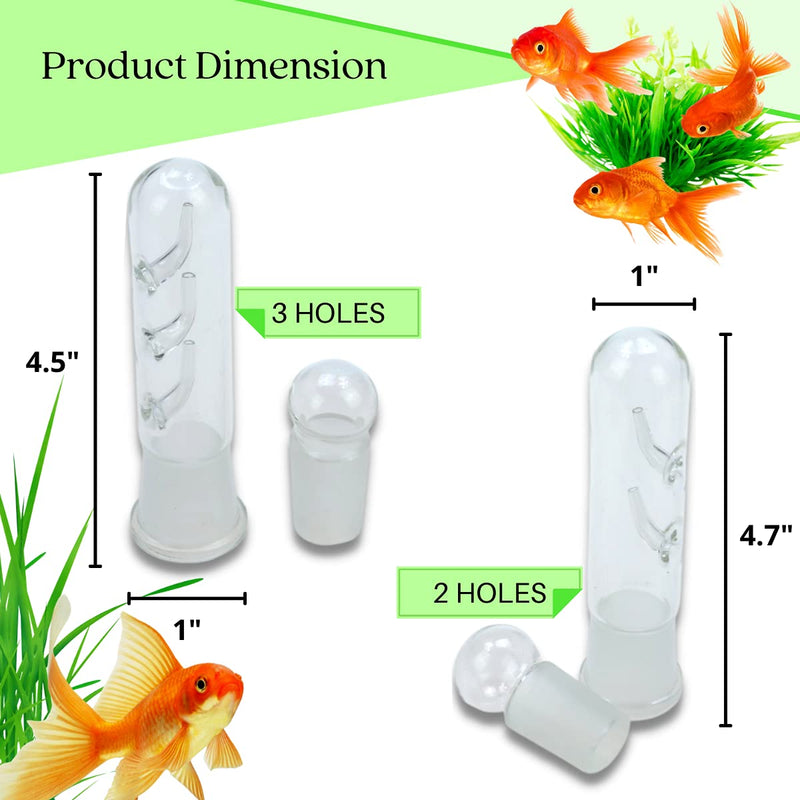 Planaria Trap Crystal Red Shrimp Tank Aquarium Bristle Worm Catcher, Shrimp Dwarf Shrimp Ghost Shrimp Live Freshwater Cleaning Supplies Clear Glass Leeches Catching Tube (3 Holes) - PawsPlanet Australia