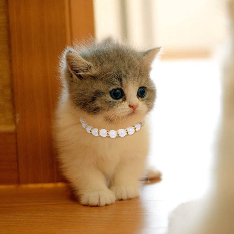 Campsis 2 Pack Rhinestone Cat Necklace Collar Pearl Cat Collars with Extension Chain Kitten Necklace Collar for Girl Cats (S=7.9-10.6inch) S=7.9-10.6inch - PawsPlanet Australia