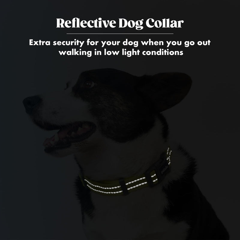 Martingale Collar for Large Dogs, Reflective No Pull Dog Collar with Quick Snap Buckle, Heavy-Duty Thick Slip Collar, Purple/Lime Green Large (Neck: 12"- 20") Lime Green / Purple