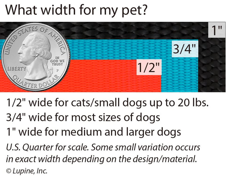 Lupine Dog Leash 4-Foot by 1" Wide PetuniasÊ 1" wide by 4-feet long - PawsPlanet Australia