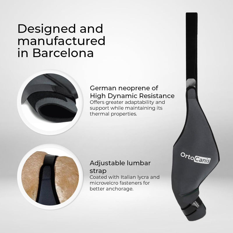 Ortocanis - Dog Knee Brace - for Left Hind Leg - Made of ARD Neoprene - for ACL Tear, Ligament Injuries, Patellar Luxation or Osteoarthritis - Size Large (12,3-14,2 ") Left Leg Size Large (12,3 - 14,2 ") - PawsPlanet Australia