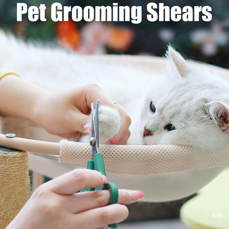 2 PCS Dog Grooming Scissors Professional Pet Grooming Shears 2 Sizes Dog Eye Cutting Scissors with Safety Round Tip Home Pets Grooming Tool for Dogs Cats Small Animals - PawsPlanet Australia