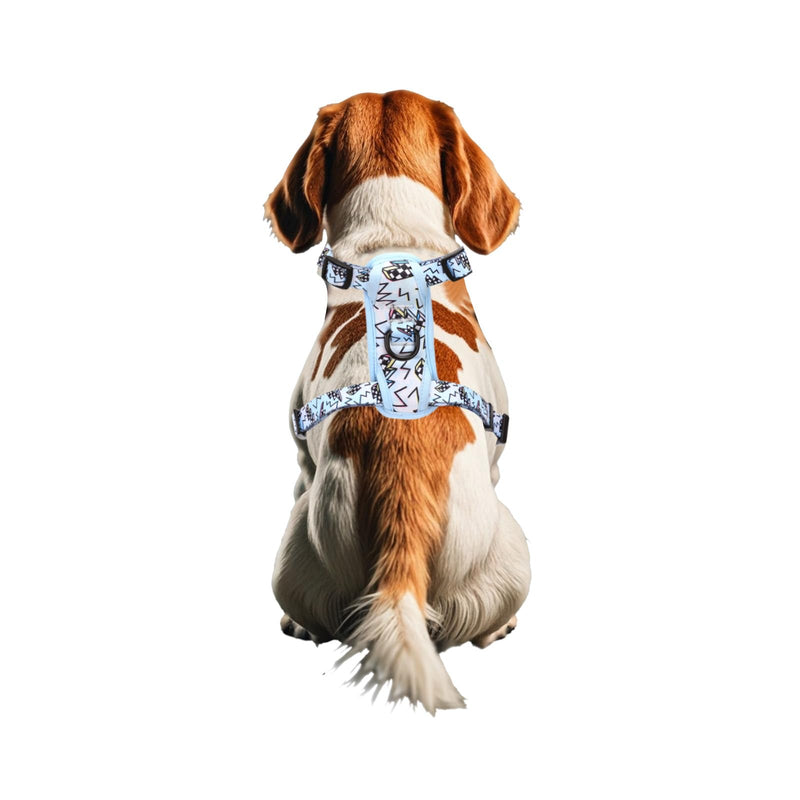 Petmolico Dog Harness and Leash Set Soft Mesh Small Dog Harnesses Vest No Pull Dog Vest Puppy Harness and Leash Set Training(Blue, Medium) - PawsPlanet Australia