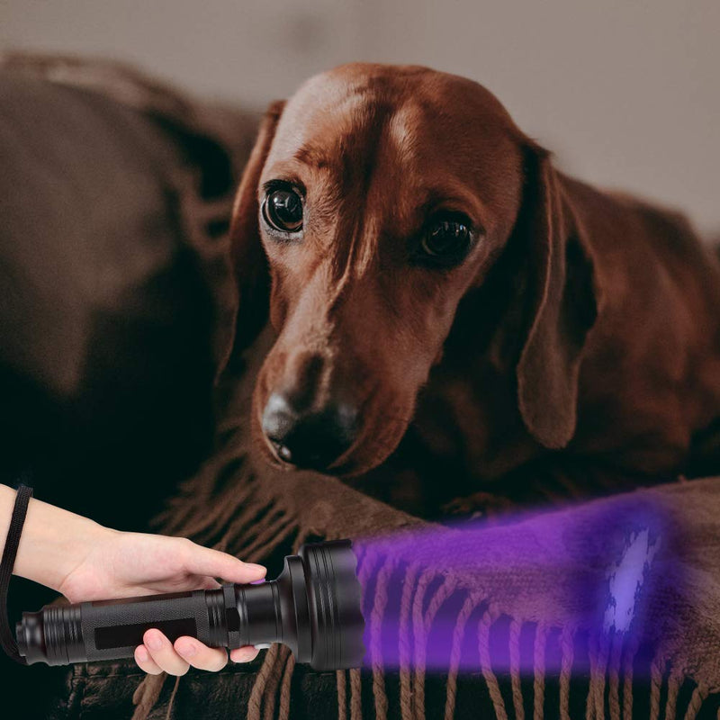 Oumefar 2 in 1 Powerful Flashlight Flashlight Torch Hand-held Detector with Sunglasses Goggles Detector Tool for Pets Urine