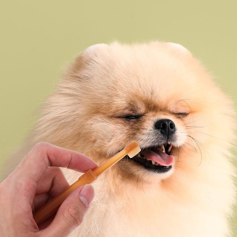 1Set Silicone Toothbrush for Cats and Dogs Double-Headed Pet Toothbrush Kit Soft Material for Gentle Cleaning for Small Dogs and Puppies Promotes Oral Health