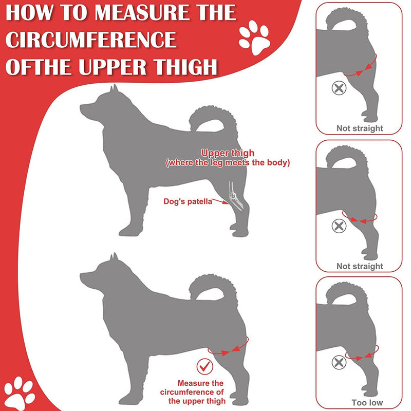 Dog Knee Brace for Hind Leg, Breathable Joint Protection for Pain Relief, Support Brace for the Dog's Rear Leg for Post-Surgery (XL)