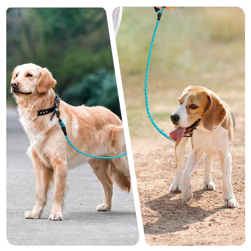 Dog Leash with Padded Handle, Slip Lead Leashes Strong No Pull Training Rope Highly Reflective Threads for Medium Large Dogs,Blue,6 FT Blue 1/2" x 6 FT（20~120lbs.） - PawsPlanet Australia