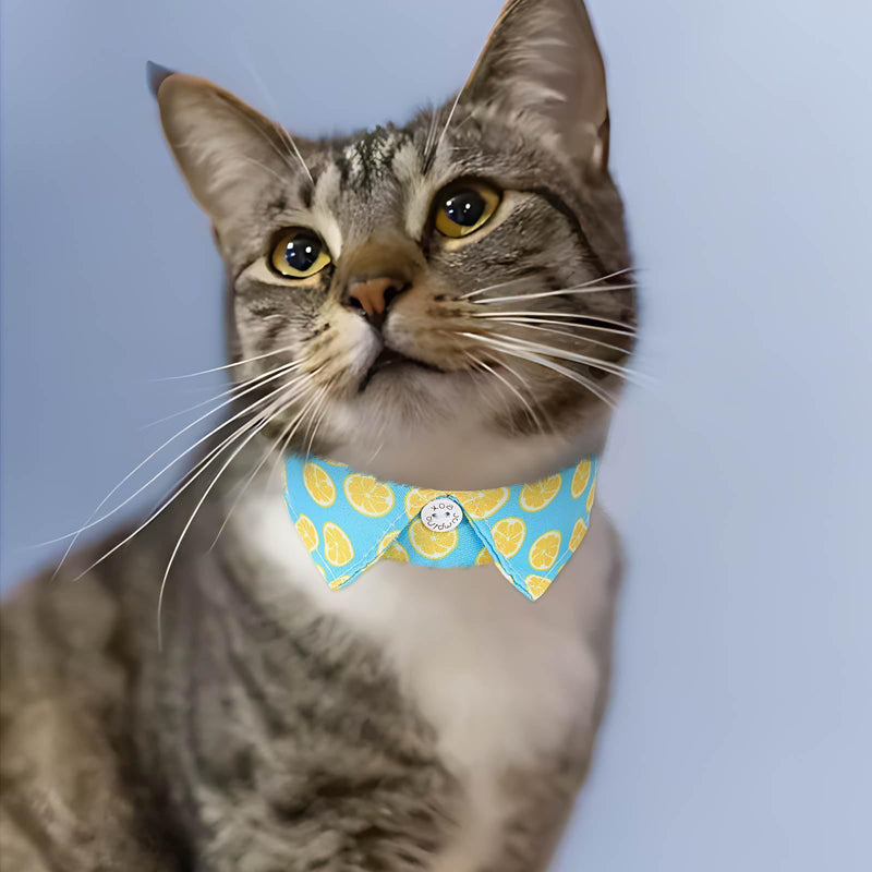 Campsis 2 Pack Breakaway Cat Collars Furit Pattern Cat Collar Safety Adjustable Flower Kitten Collar with Removable for Boy Cats and Girl Cats (Fruits pattern) Fruits pattern - PawsPlanet Australia