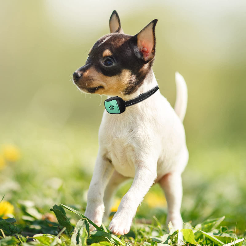 Small Dog Bark Collar - Small Anti Barking Collar for Small Medium Dogs - Small Most Humane Stop Barking Collar - Dog Training No Shock Bark Collar - Safe Pet Bark Control Device (Green, 7-20 Inches)