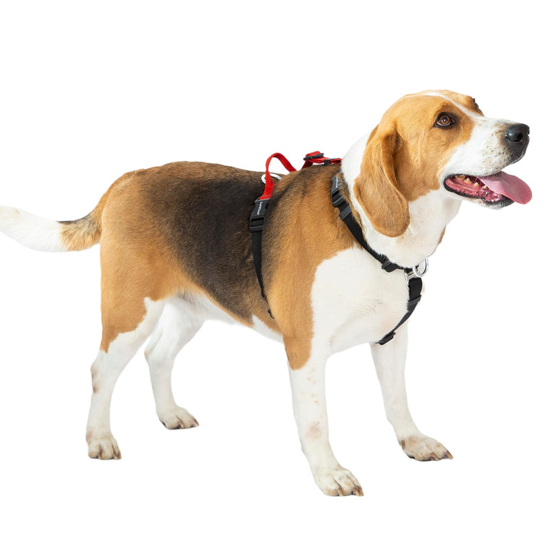 No Pull Dog Harness, Non-Restrictive Harness with Neck Buckle, Nylon Straps, Aluminum D-Rings, 6 Points Adjustment for Ultimate Fit, Easy Walking and Training (Red/Black, S) Red/Black - PawsPlanet Australia