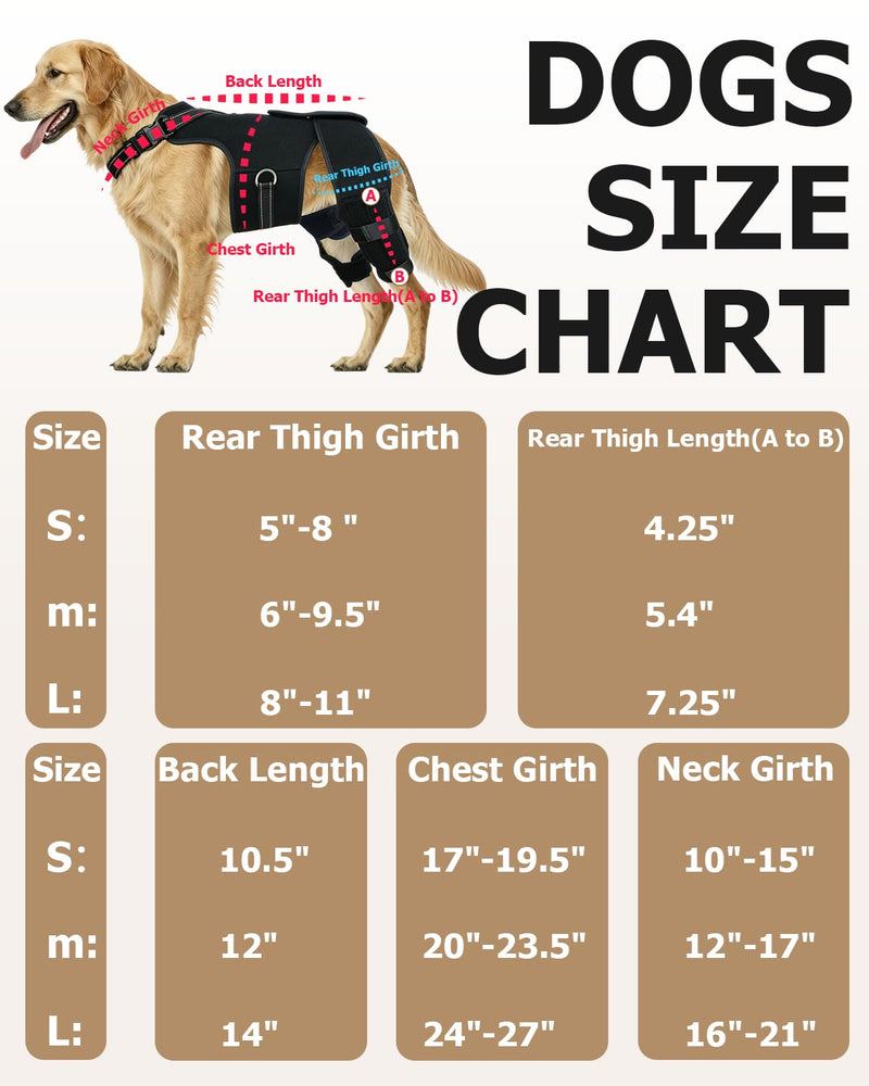 2-in-1 Dog Knee Brace and Lift Harness, Adjustable Back Leg Support with Stabilizers for ACL Recovery & Joint Care, Dog Sling for Hind Legs, Mobility Aid for Elderly Dogs with Luxating Patella (M) M